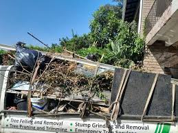 Best Electronics and E-Waste Disposal  in Maple Park, IL